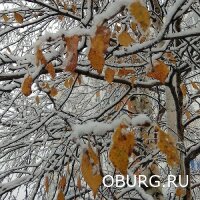 Оренбуржцам к выходным можно ожидать первый снег